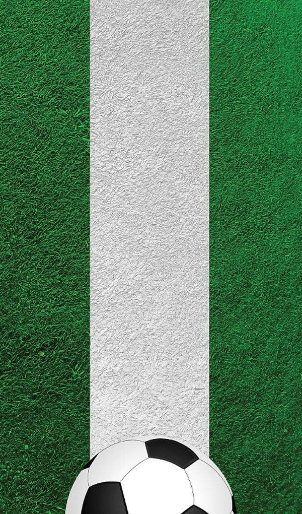 Nexgen Skins with 3D effect for Samsung Galaxy S3 (Soccer Field 3D) - 2
