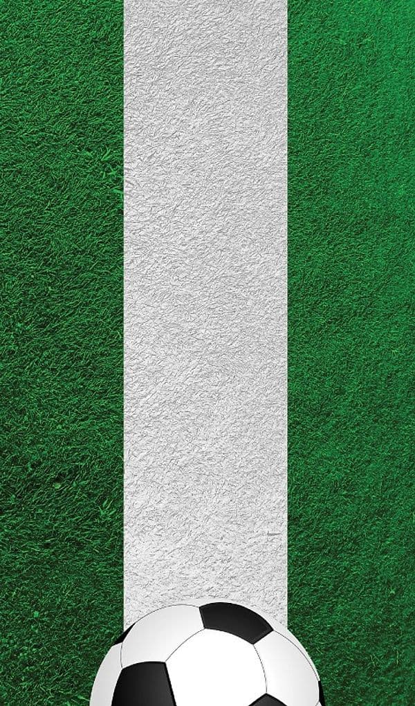 Nexgen Skins with 3D effect for Samsung Galaxy S3 (Soccer Field 3D) - 5