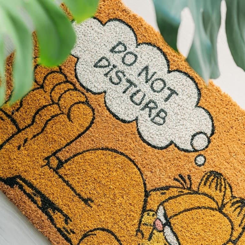 Garfield - Doormat (40 x 60 cm) - 12