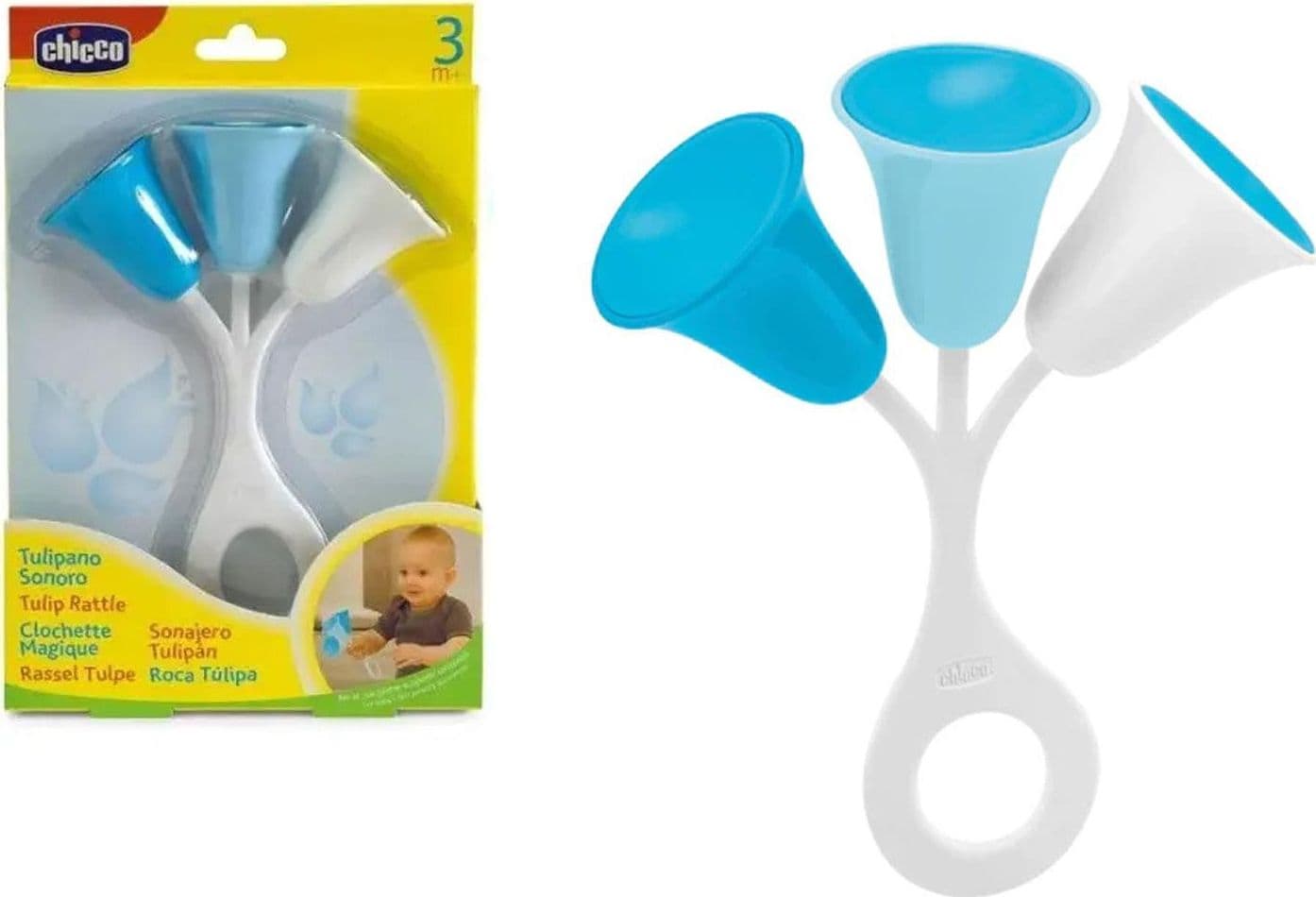 Trillino Tulipano Azzurro