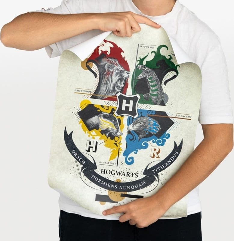 Harry Potter - Set di 2 poster da parete (38 x 52 cm) - 12