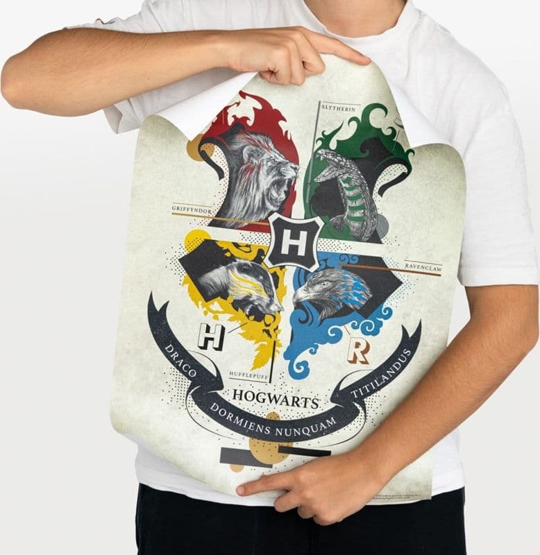 Harry Potter - Set di 2 poster da parete (38 x 52 cm) - 5