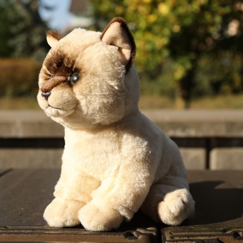 Rappa - Peluche realistico mascotte Ragdoll gatto seduto 23 cm Collezione Eco-Friendly Soft - 12