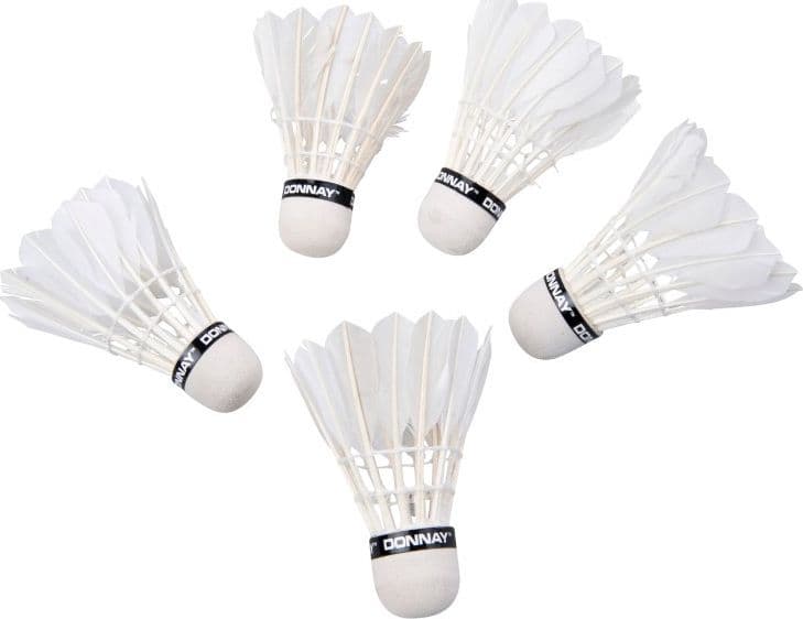 Volani Badminton