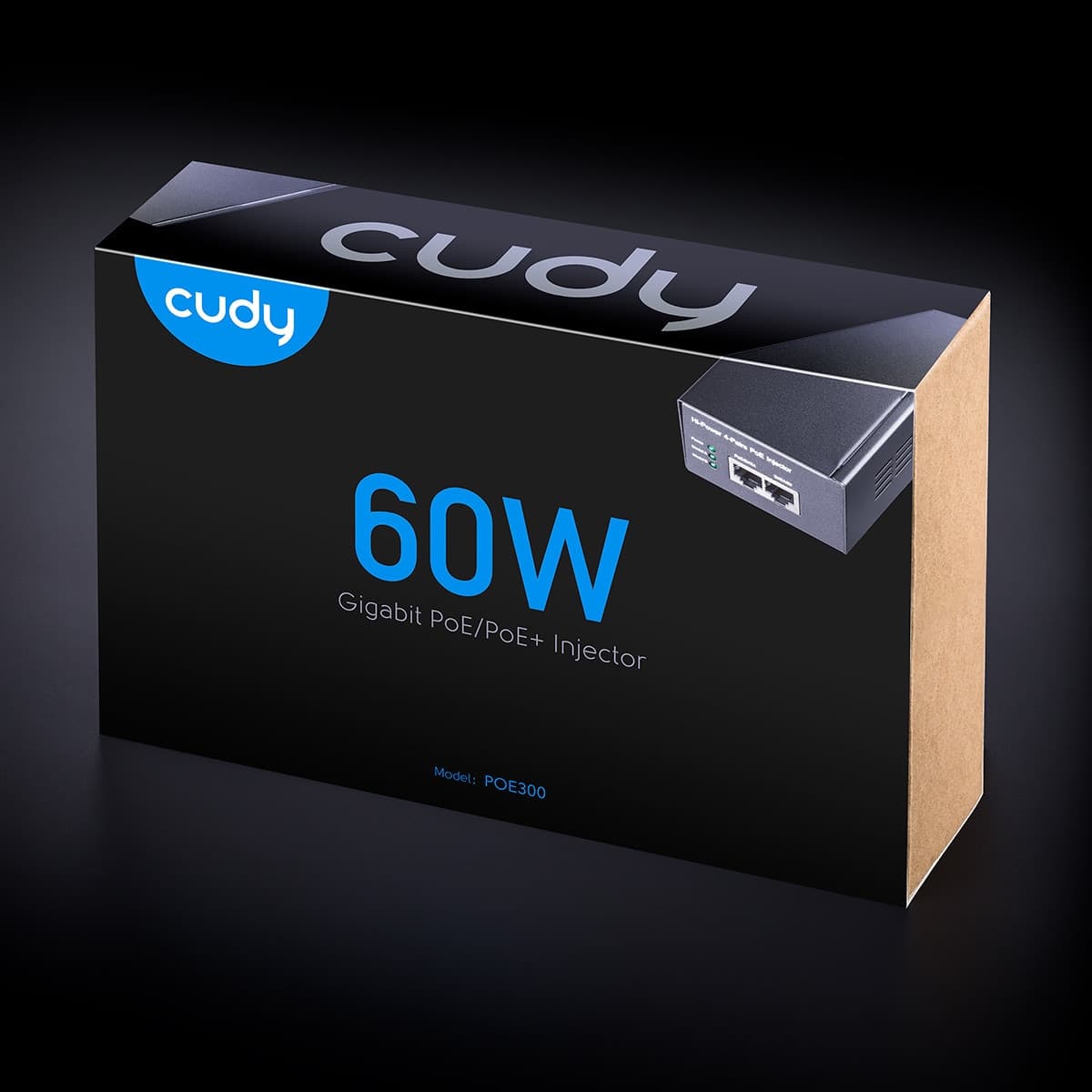 Iniettore Gigabit PoE++ da 60W fino a 100m, POE300 - 2
