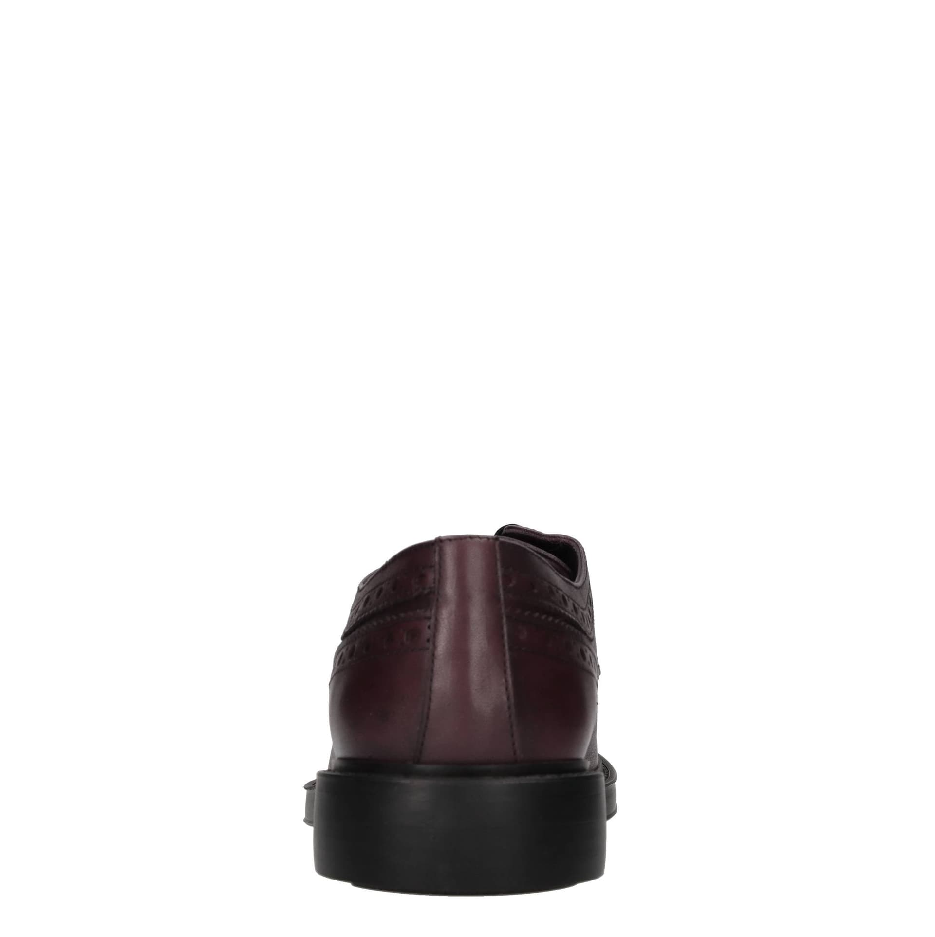 TF SPORT  Scarpe basse Bordeaux - 2