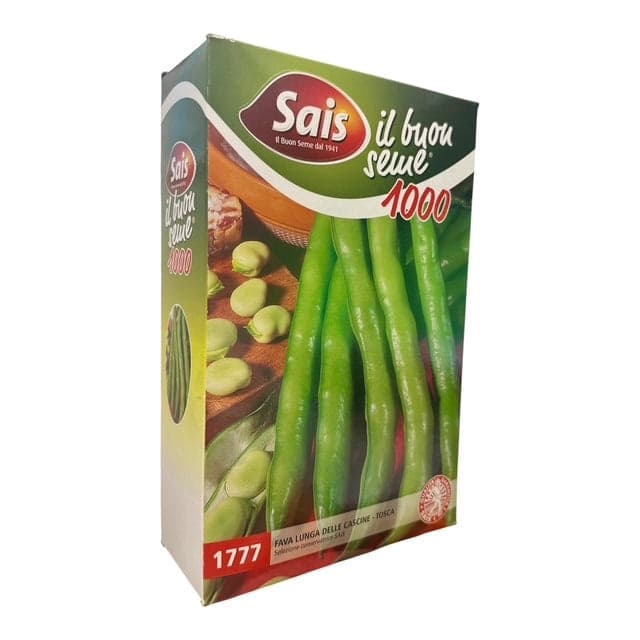 Fava Lunga delle Cascine-Tosca Kg 1 Seme SAIS - 3