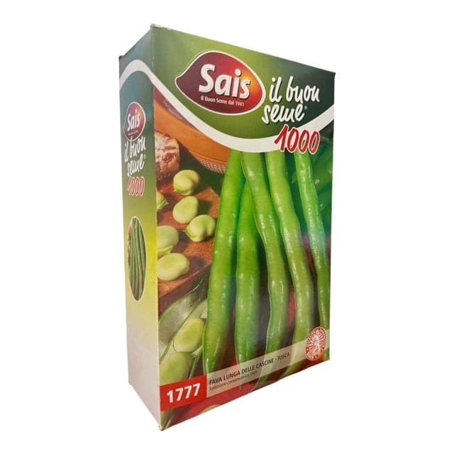 Fava Lunga delle Cascine-Tosca Kg 1 Seme SAIS - 4