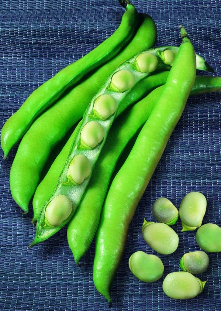 Fava Superaguadulce Kg 1 Semi SAIS - 2