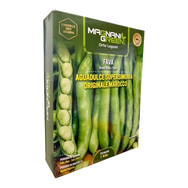 Fava Aguadulce Supersimonia Originale Marocco Kg 1 Semi Magnani Green - 2