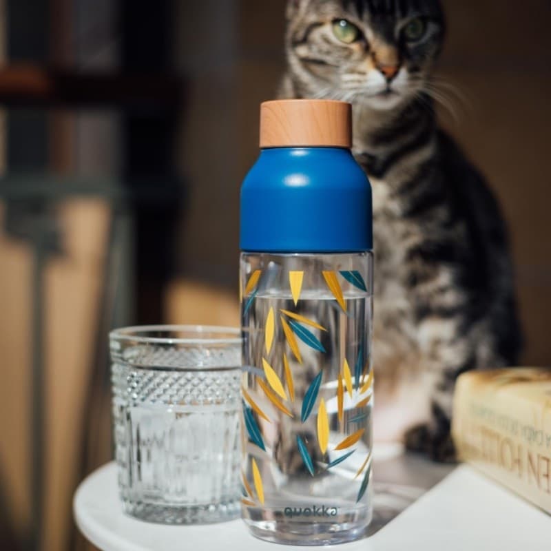 Quokka Ice - ecozen Borraccia 720 ml (Bambu) - 4