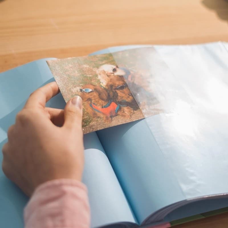 Moomins - Photo Album for 200 Photos 10x15 cm - 7
