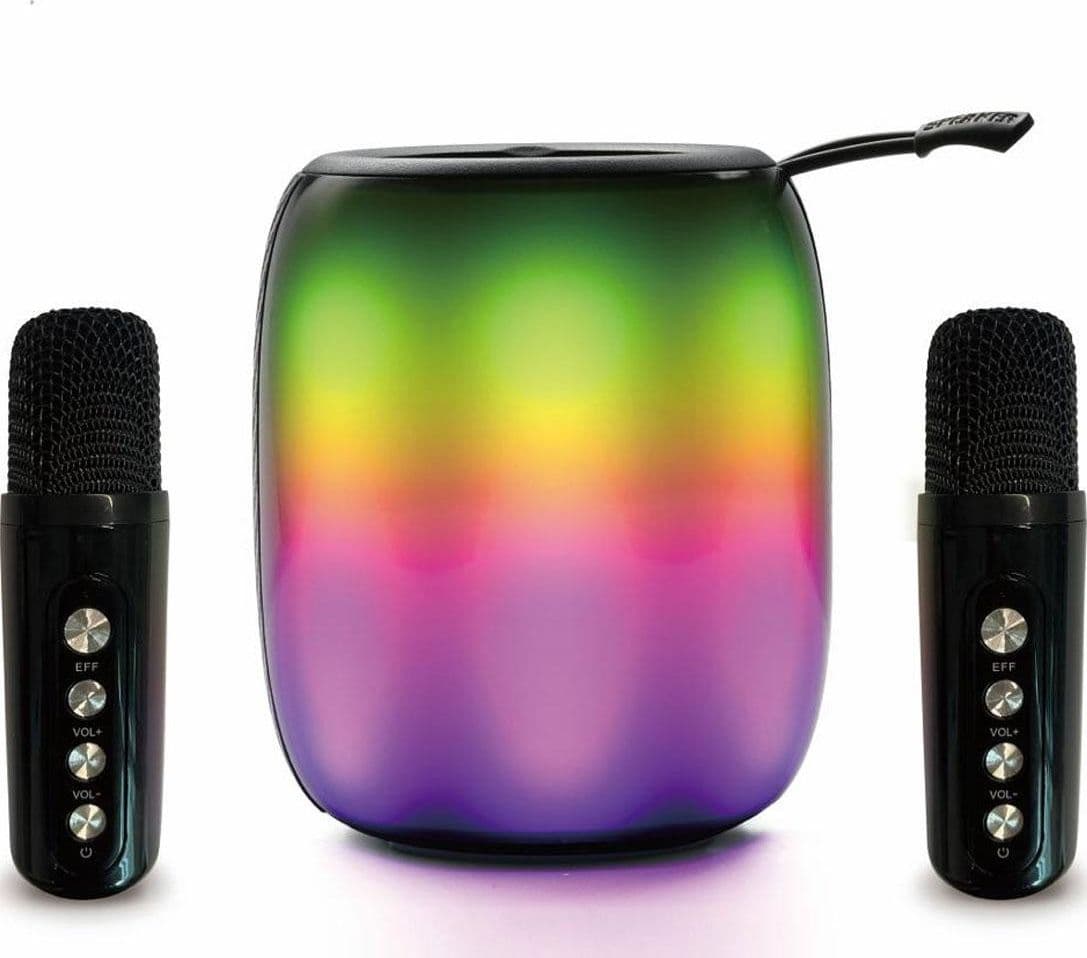 Seattle Amplificatore Wireless con 2 Microfoni