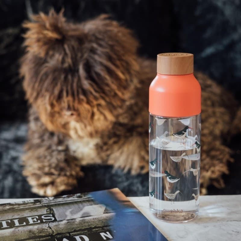 Quokka Ice - ecozen Borraccia 720 ml (Uccelli) - 4