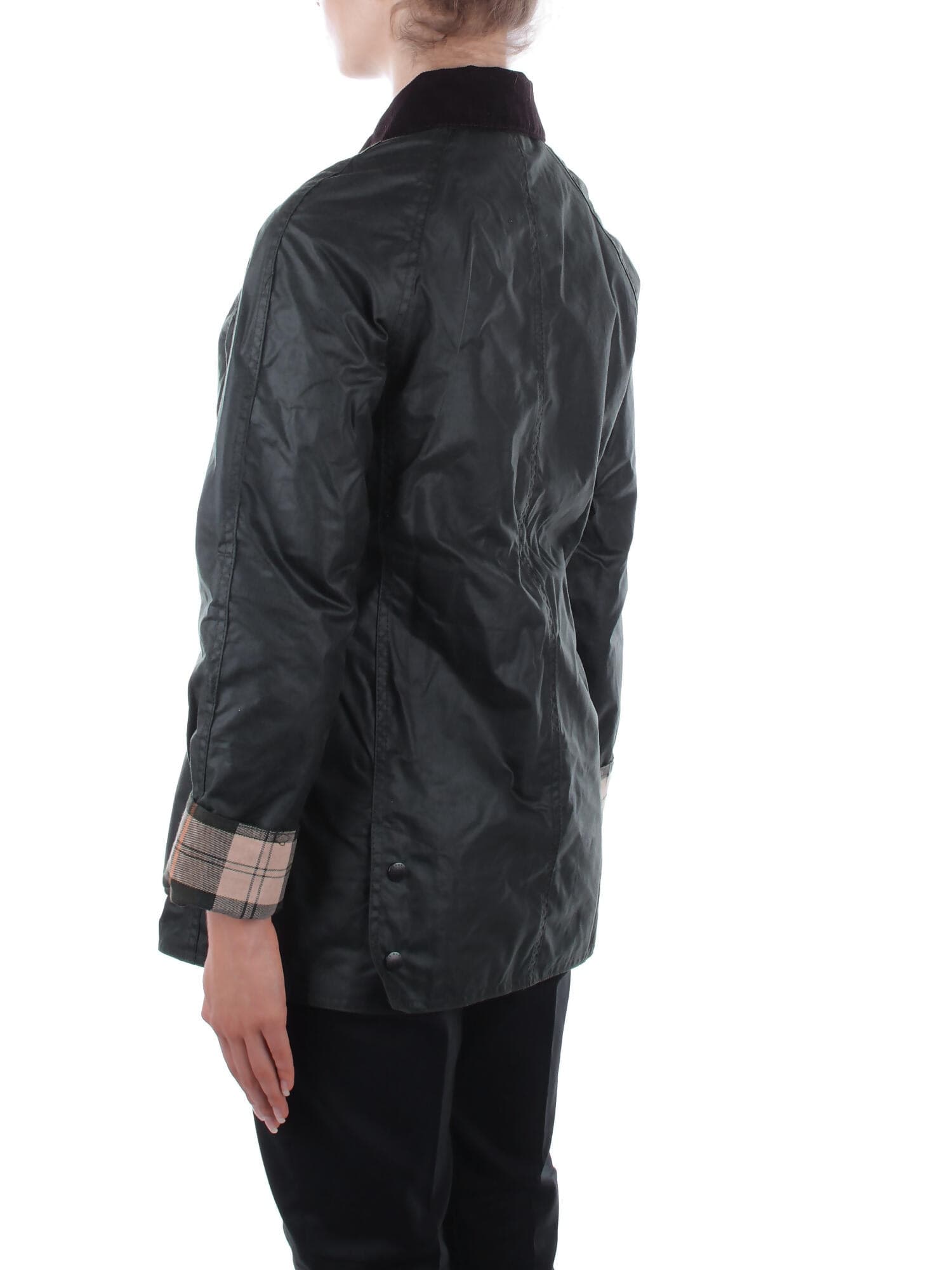 Barbour  Giacconi Sage - 5