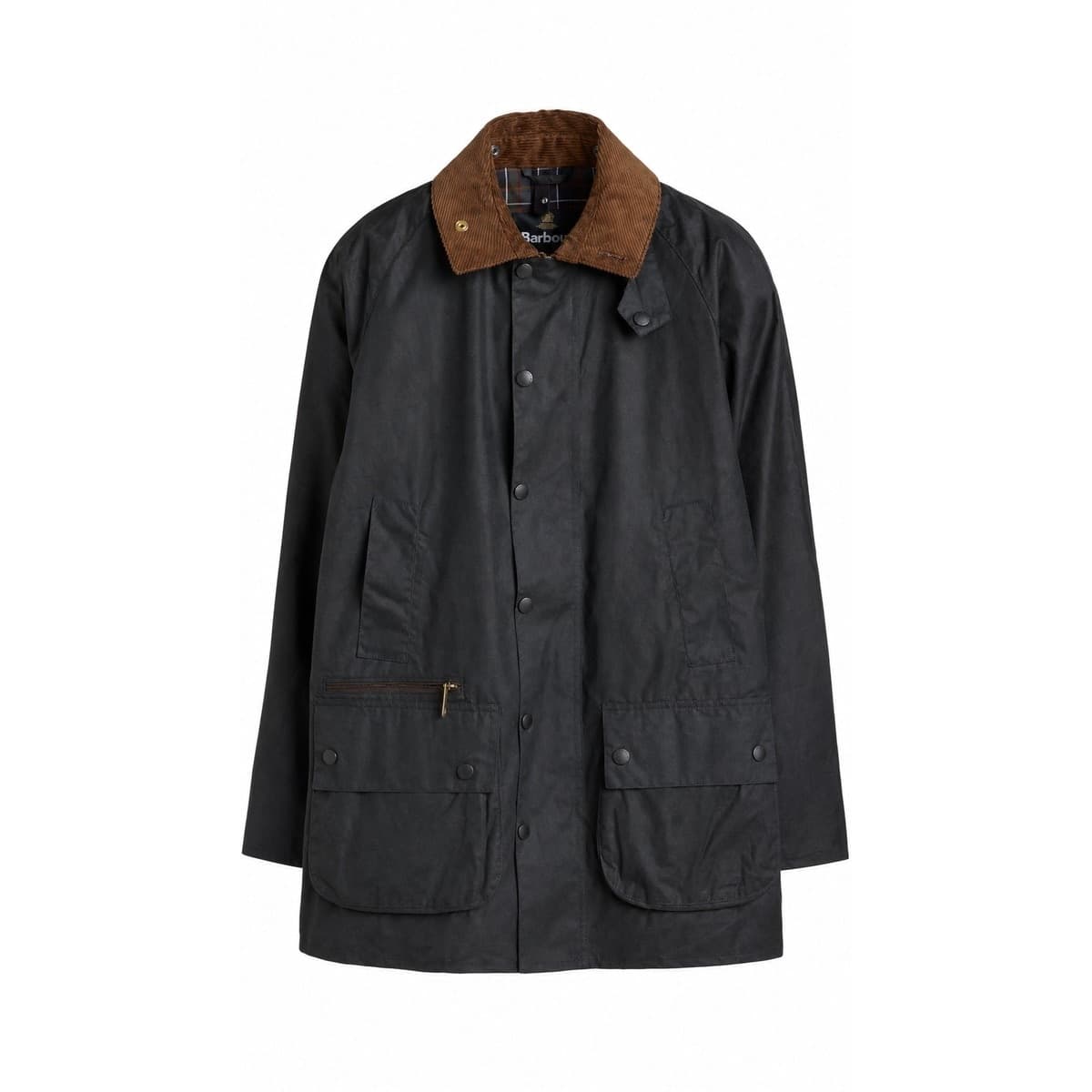 Barbour  Giacconi Sage
