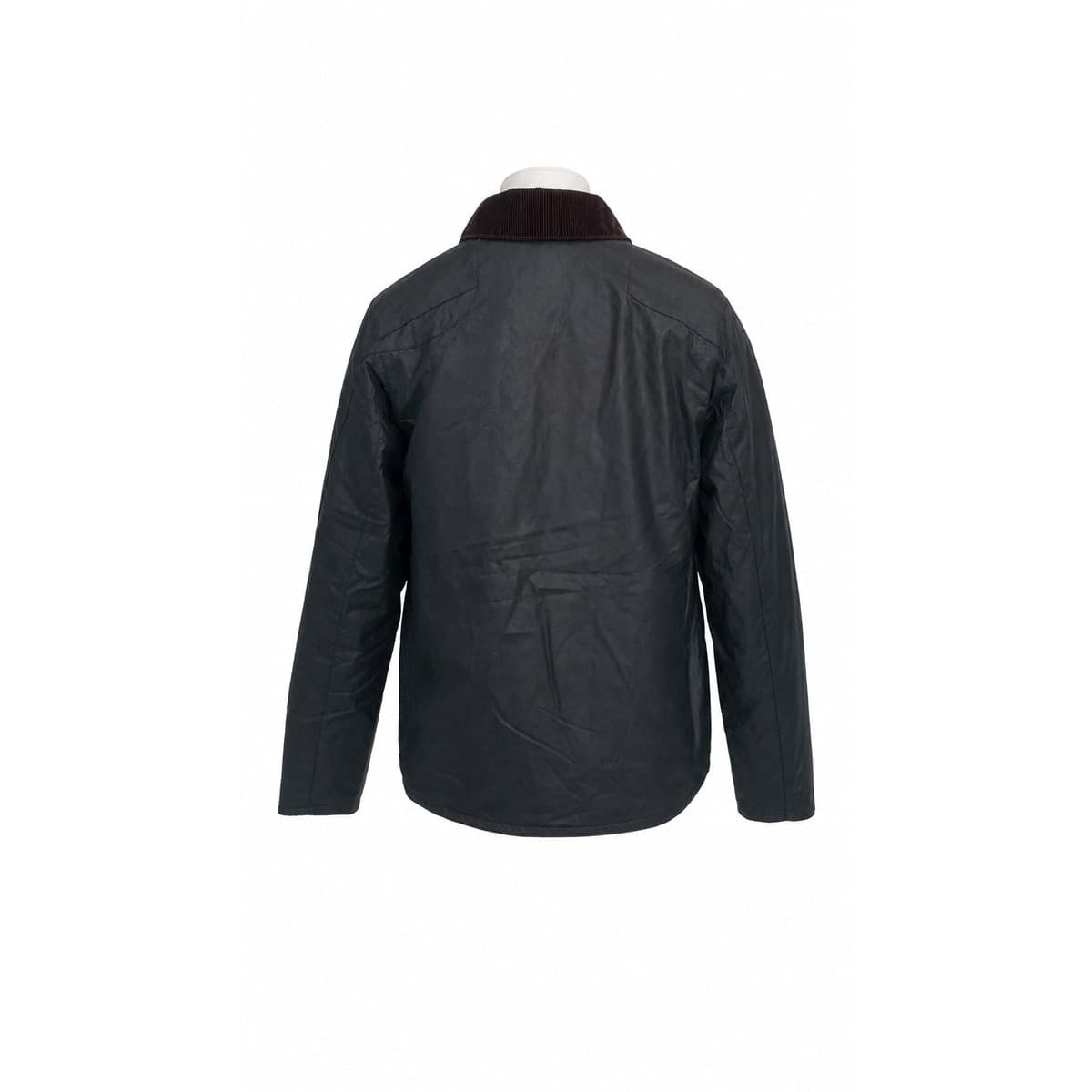 Barbour  Giacconi Sage - 2