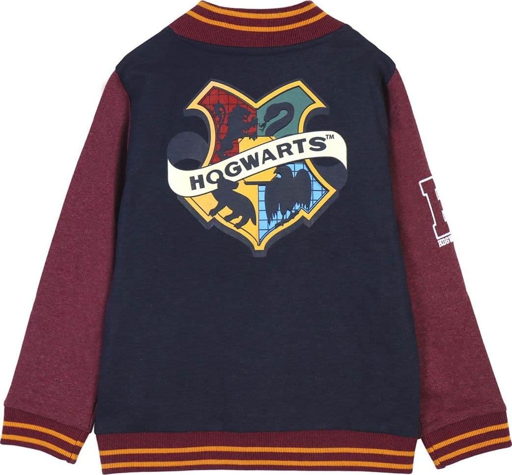 Felpa Harry Potter da 7 a 12 anni - 2