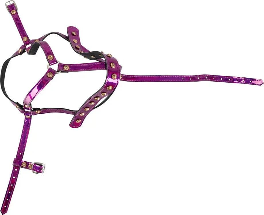 Harness Testa BDSM Viola Regolabile Fetish Bondage Poliuretano Metallo Unisex - 3