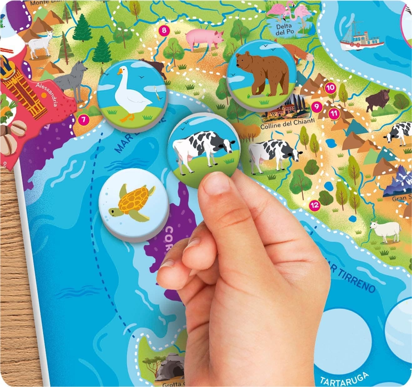 Clementoni - Sapientino Italia Puzzle Magnetico - 4