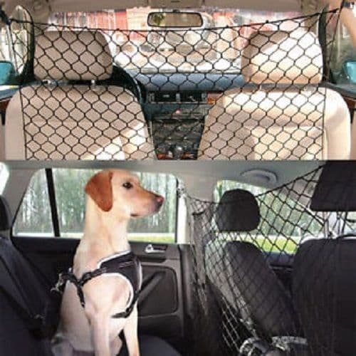 Accessori da viaggio per Cani