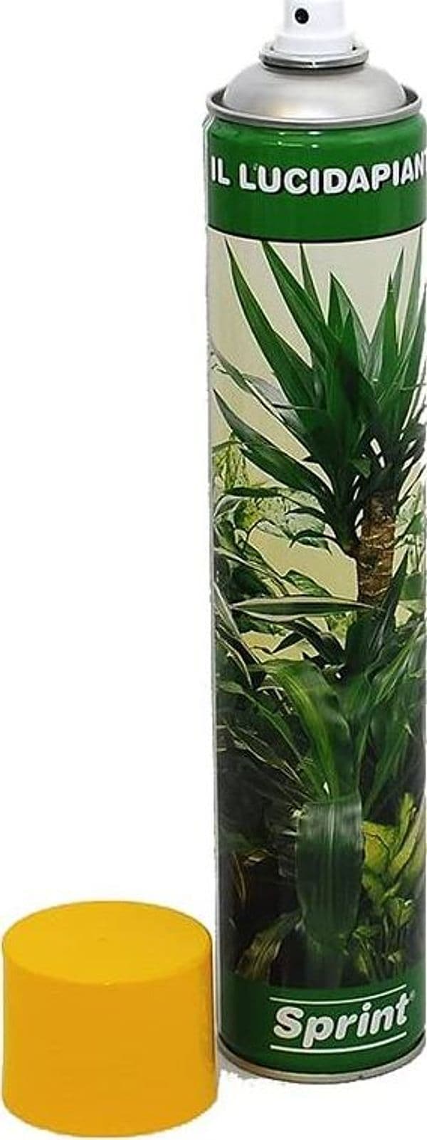 Spray Lucida Piante Ornamentali Garantisce Lucentezza Pulizia e Protezione Alle Foglie 750 ml