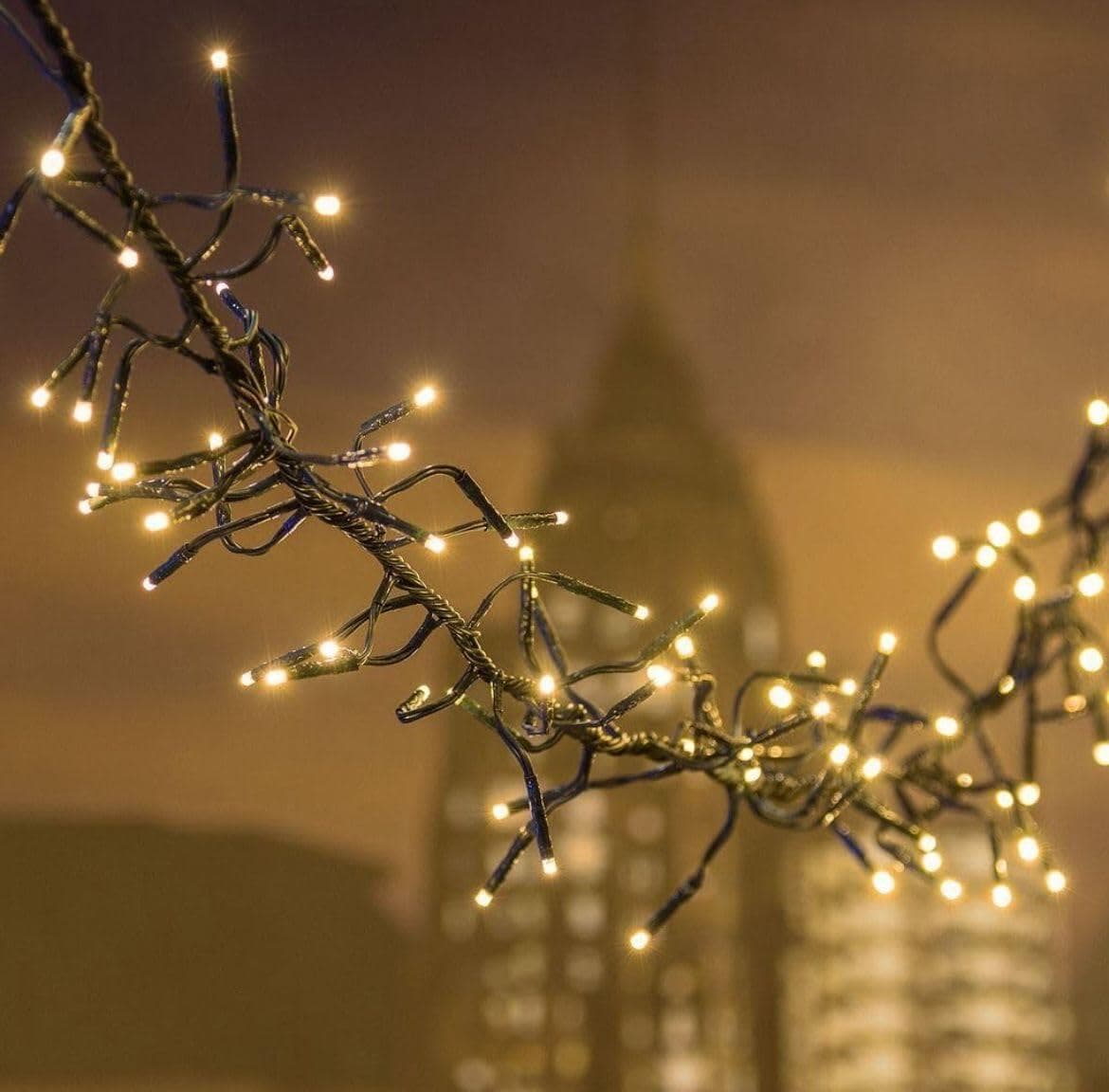 Luci di Natale Natalizie 1000 Led BIANCO CALDO a Grappolo per ESTERNO/INTERNO 16.5 metri con 8 Giochi di luce, Timer, Cavo verde, Catena luminosa natalizia per Albero - 2