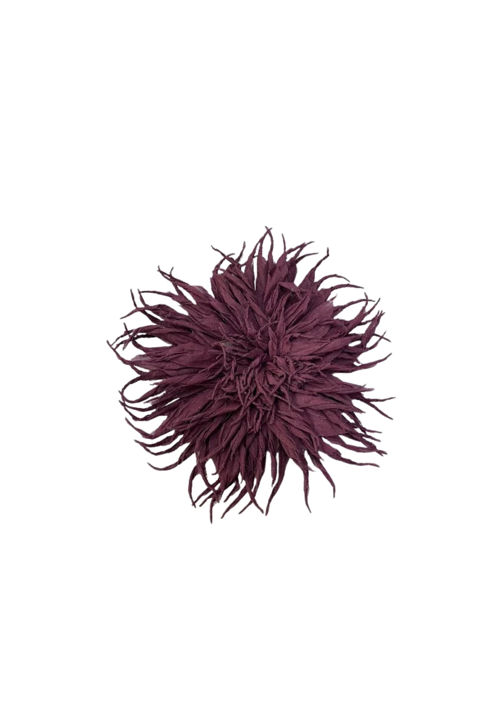 PHISIQUE DU ROLE SPILLA  FIORE