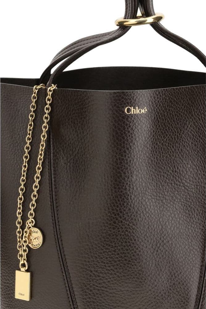 Chloé Brown Calf Leather Bos Taurus Shoulder Bag - 4