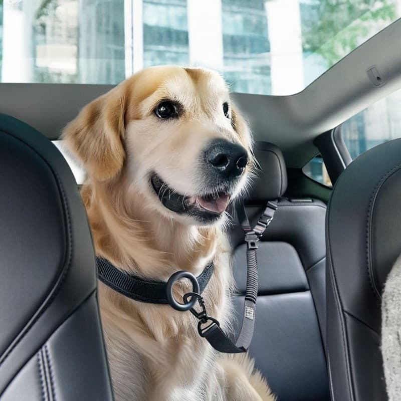 Spigen PS100 - Cintura di sicurezza/guinzaglio per animali domestici per auto (nero) - 8