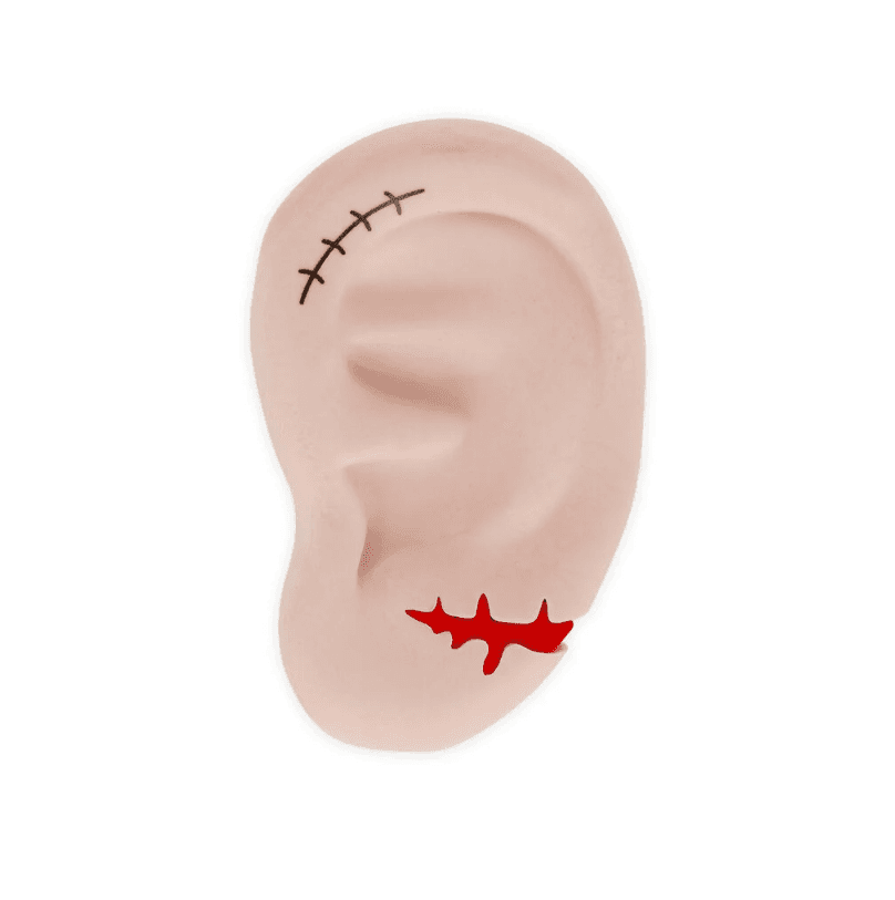 Legami - Gomma da cancellare Profumata - Ear We Go Again halloween - 5