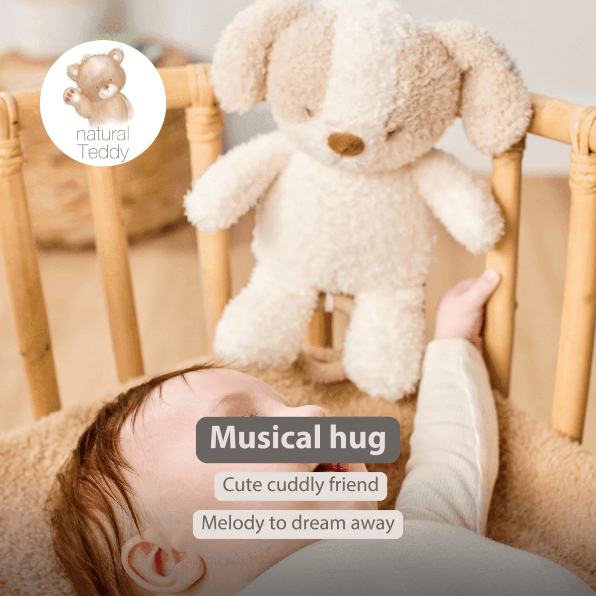 Carillon Nattou Cane Teddy - 2