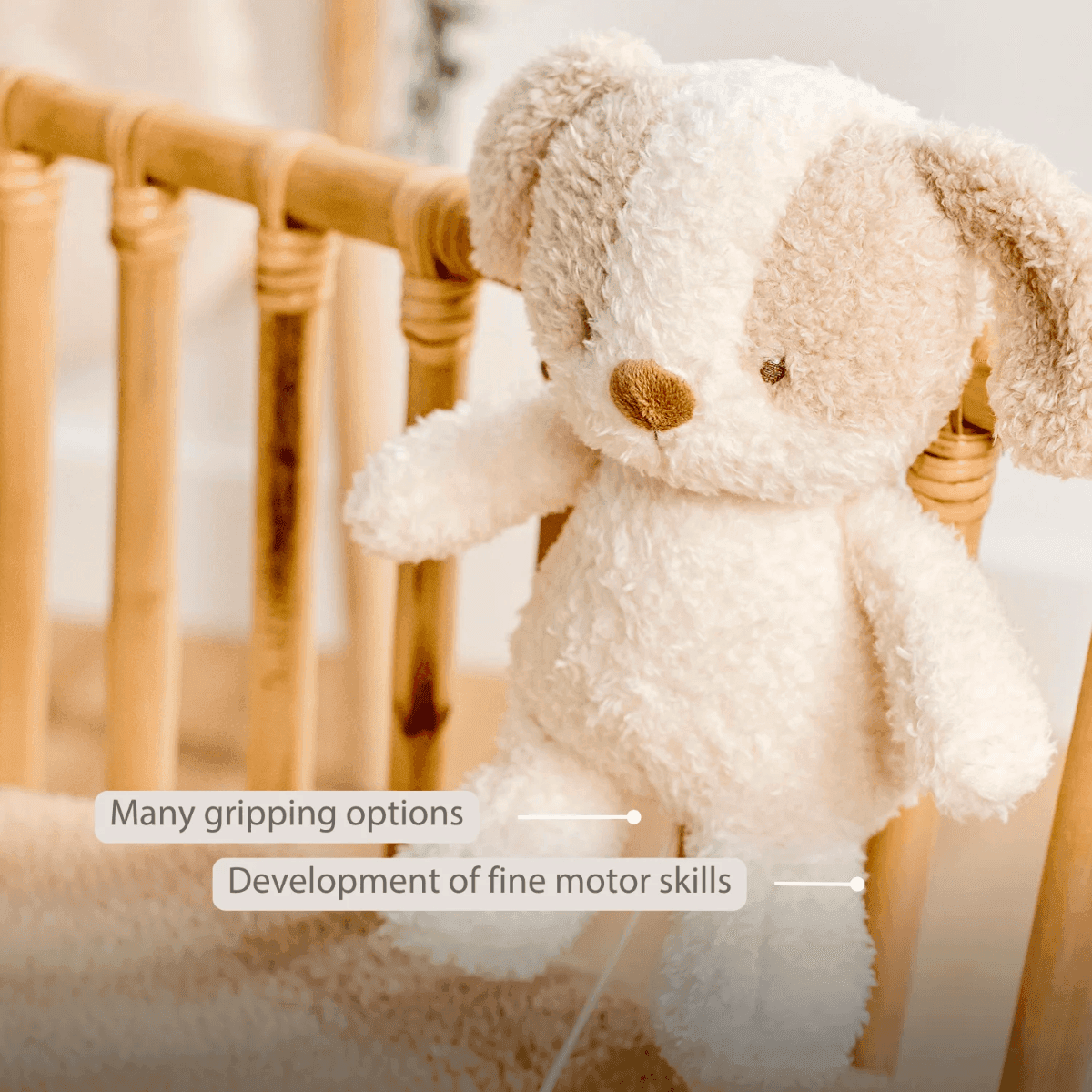 Carillon Nattou Cane Teddy - 4