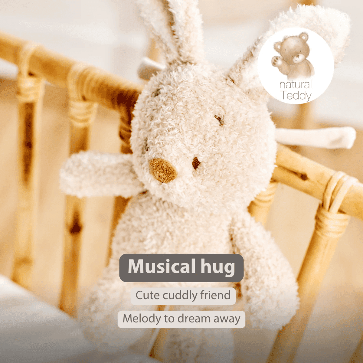 Carillon Nattou Coniglio Teddy - 3