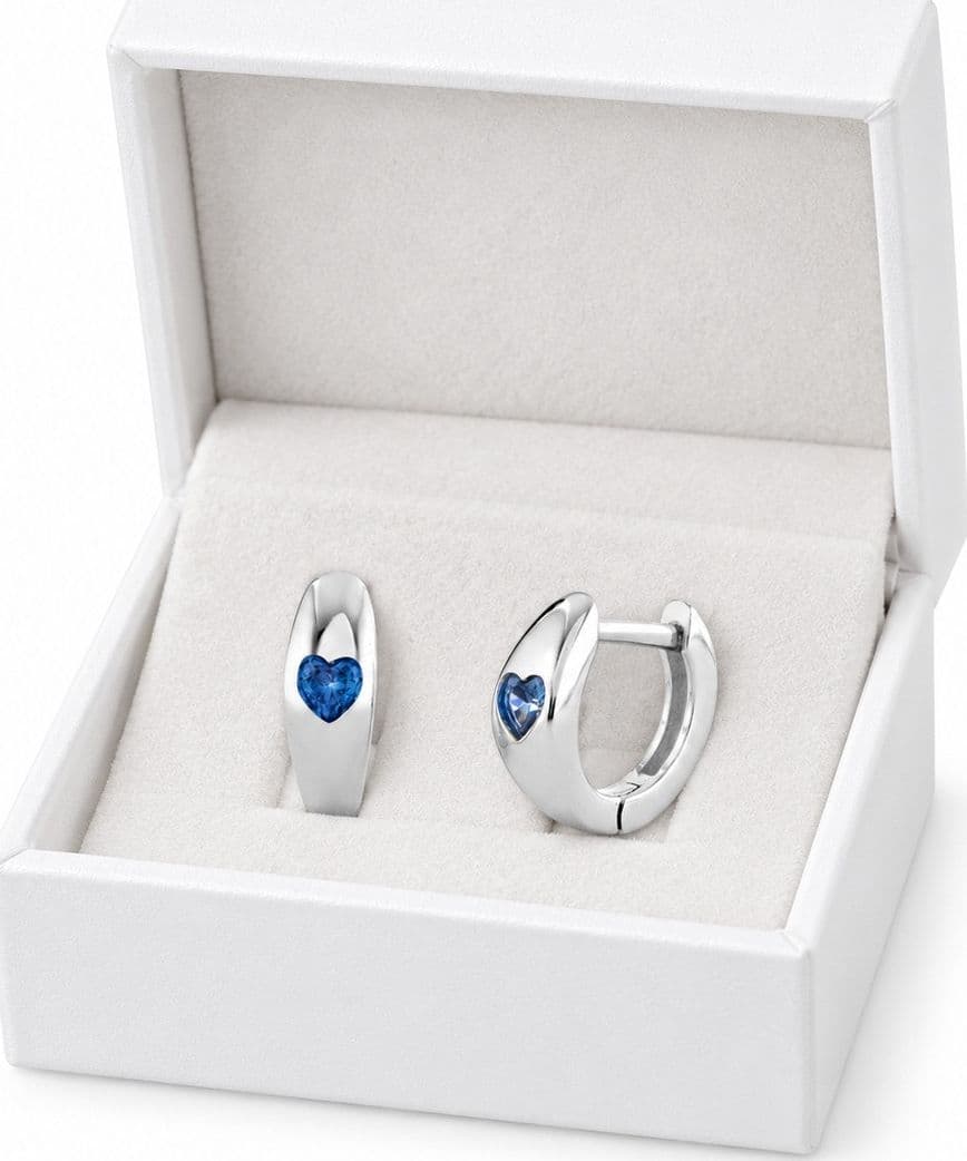 Laura P. - Orecchino hoops zircone tanzanite - 3