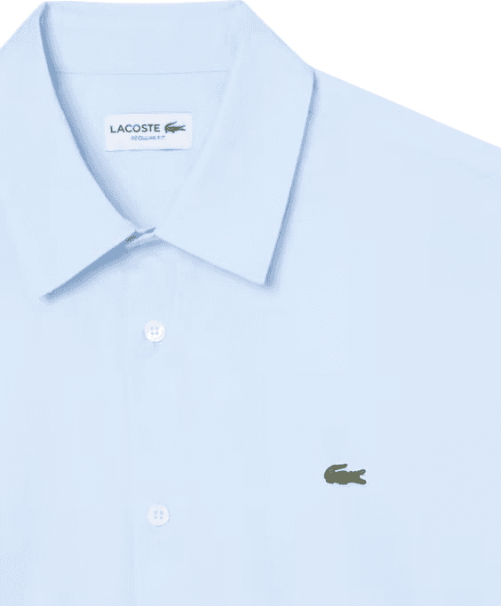 Lacoste  Camicie Azzurro - 2