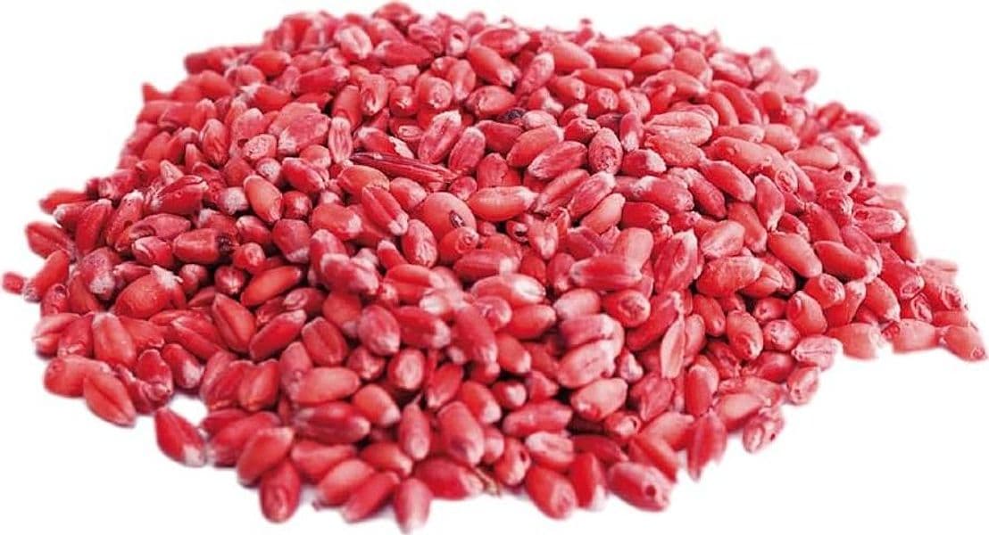 Esca per topi e ratti decorticata, aromatizzata e lavorata  , topicida in grano , da 1,5 kg - 2