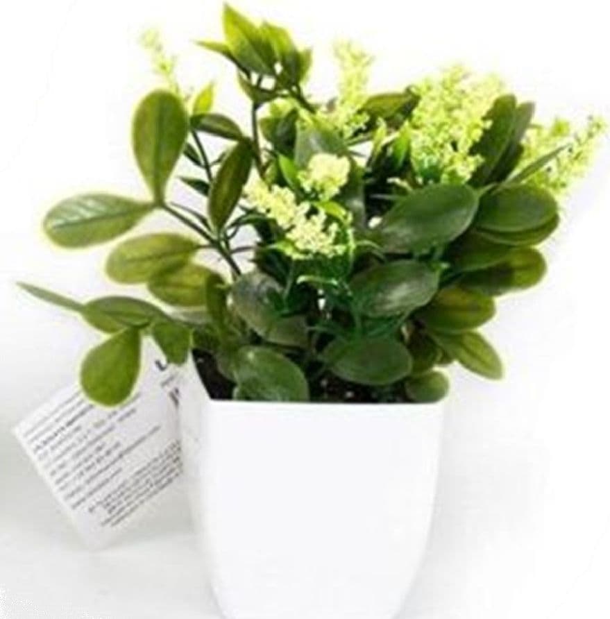 SET 12PZ MINI PIANTA FIORI ARTIFICIALE CON VASO IN PP BIANCO Ø6.5X16 CM DECORAZIONE 231038