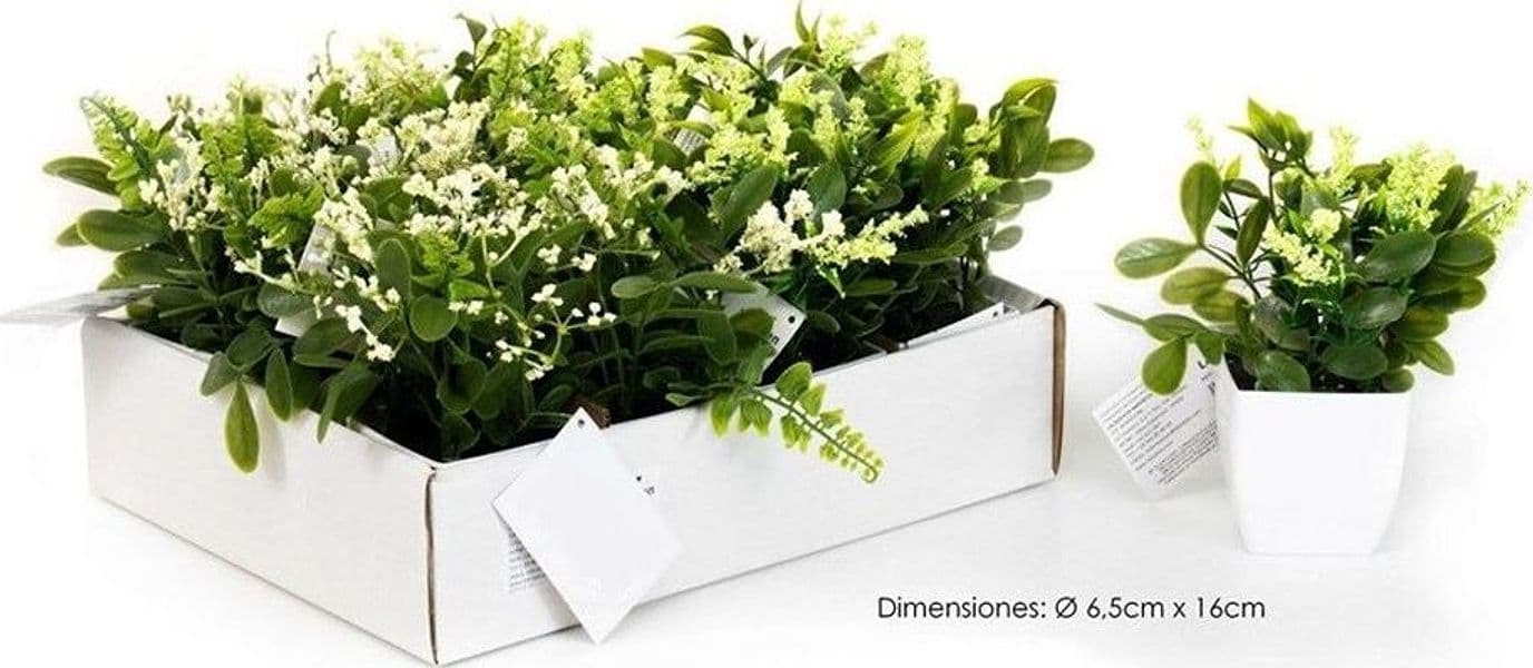 SET 12PZ MINI PIANTA FIORI ARTIFICIALE CON VASO IN PP BIANCO Ø6.5X16 CM DECORAZIONE 231038 - 2