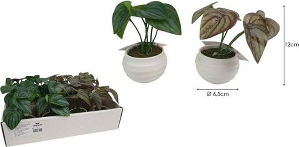 SET 12 PZ MINI PIANTA ARTIFICIALE CON VASO IN PP BIANCO Ø6,5X12 CM DECORATIVE 241237 - 2