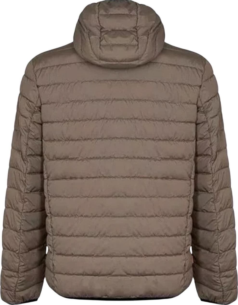 SUNS Giubbotto Uomo Suns Bape travel Fossil - 2