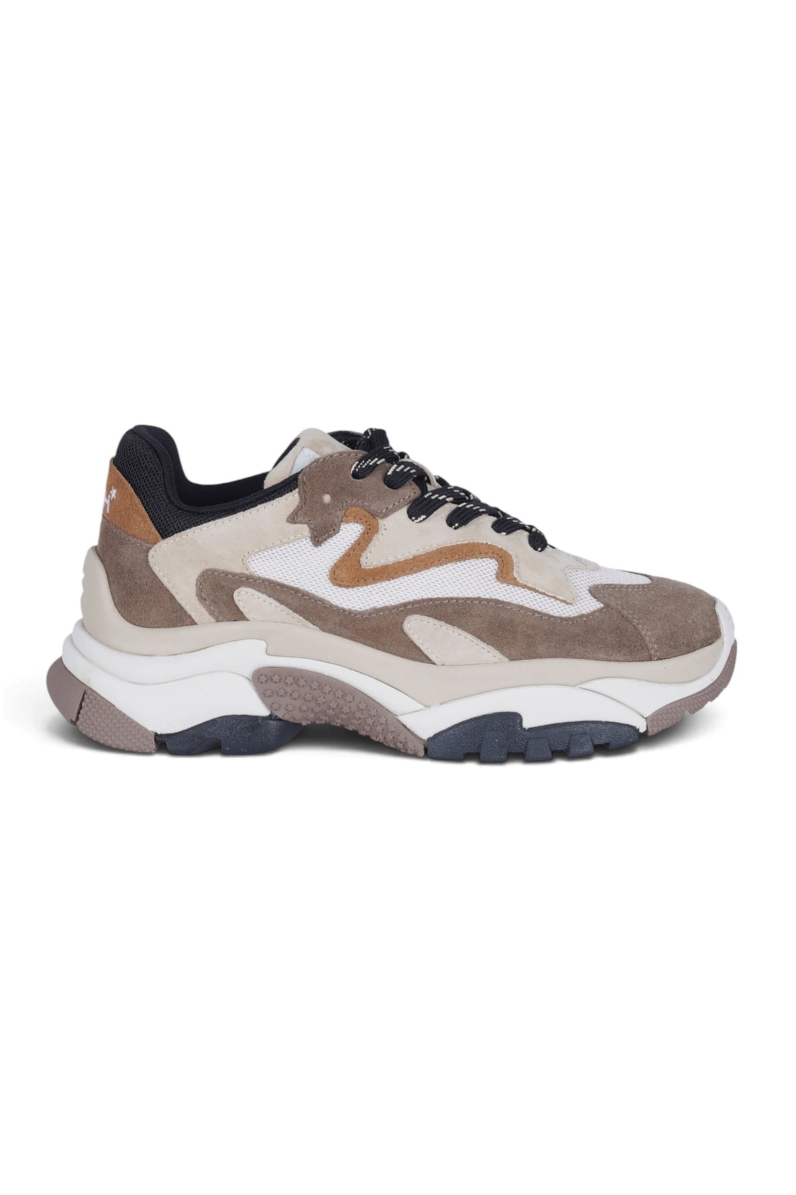 ASH Ash - Sneakers - 480687 - Panna/Beige