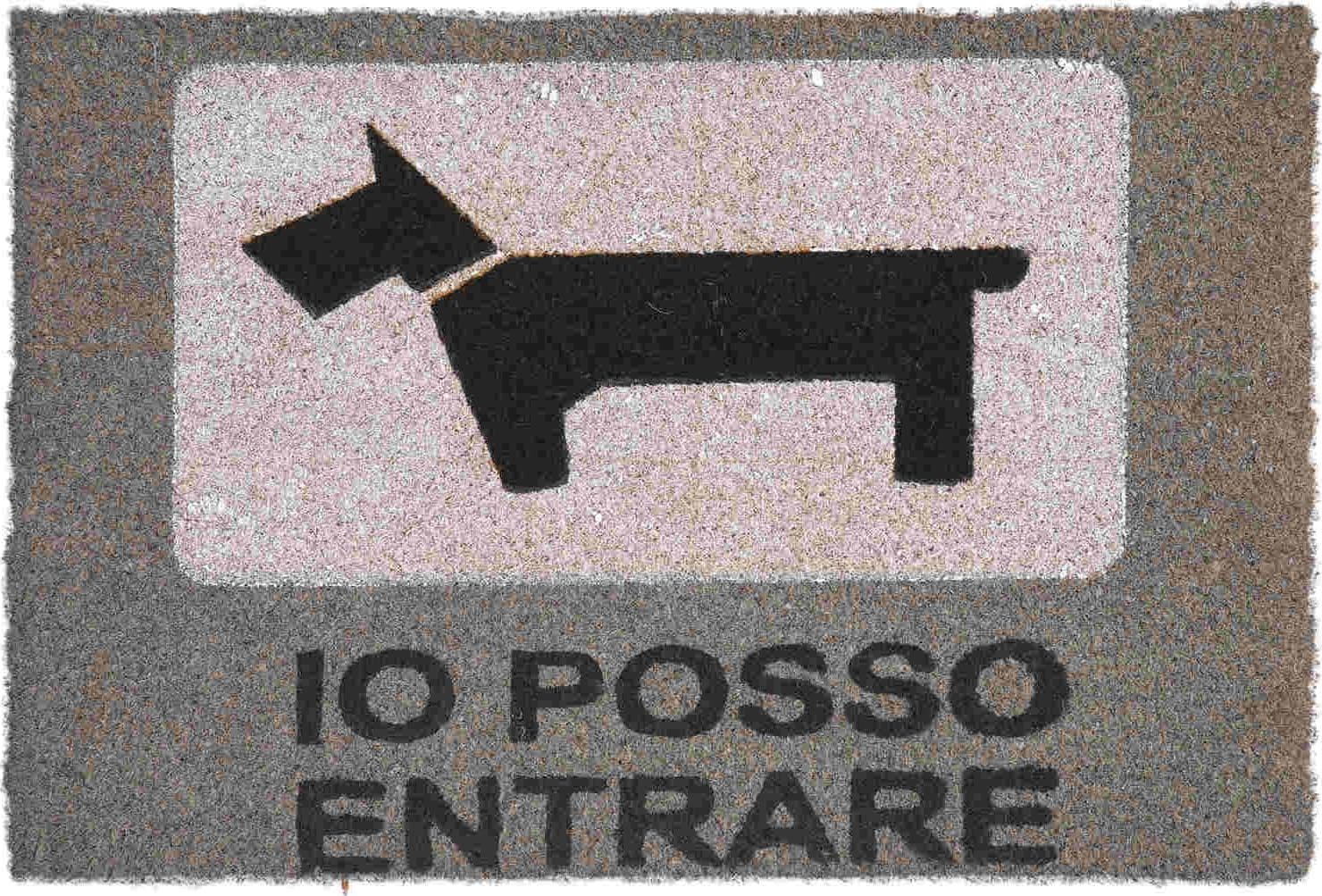 Zerbino indiano in cocco cm 60x40 Cane dog posso entrare door mat