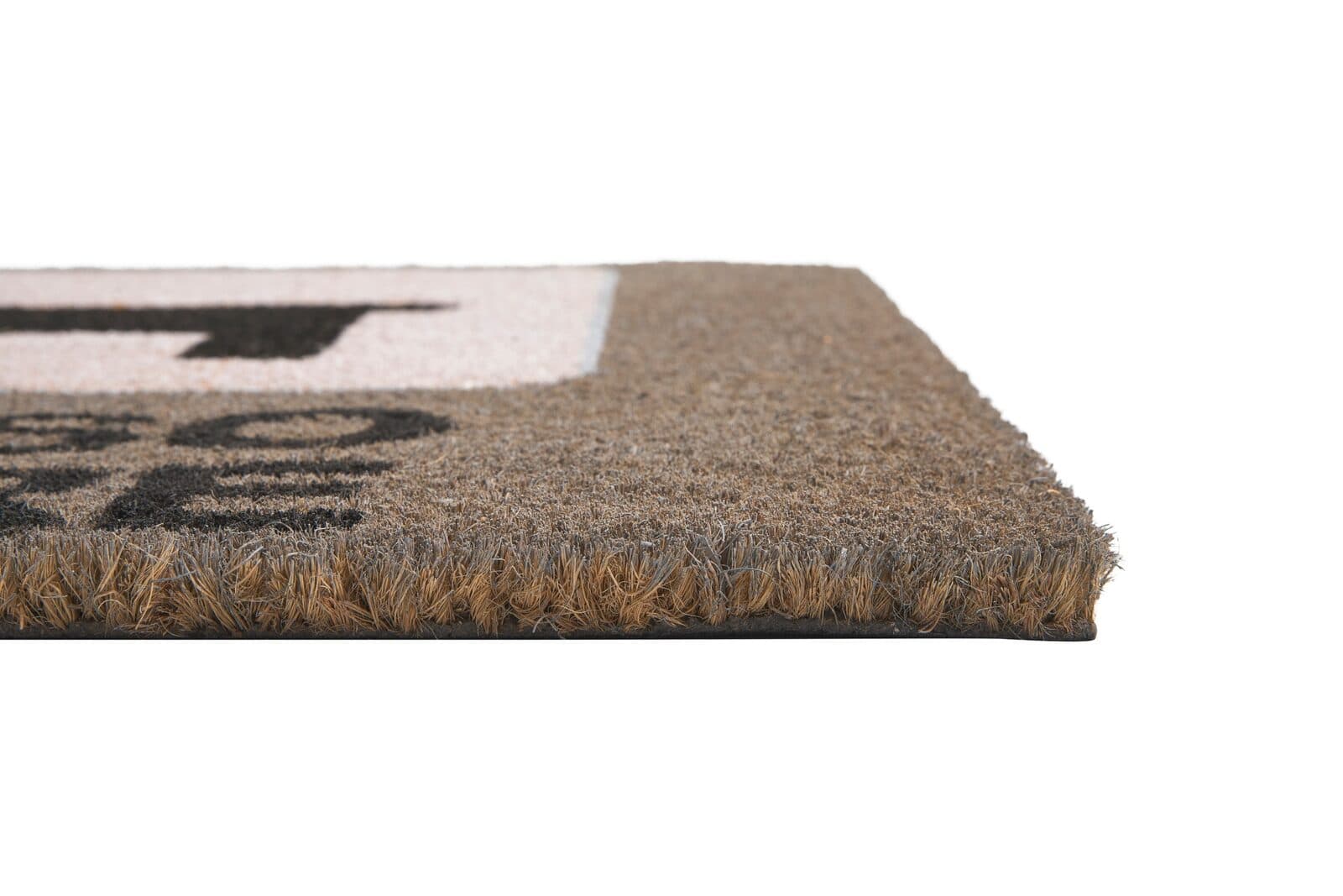 Zerbino indiano in cocco cm 60x40 Cane dog posso entrare door mat - 2