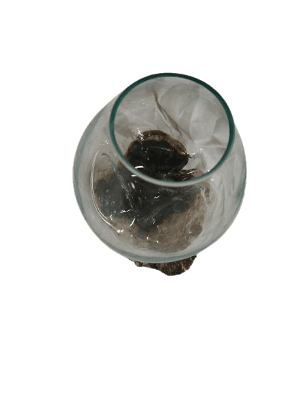 Vaso decorativo in vetro soffiato su radice Kamal Wood – Pezzo unico - 3