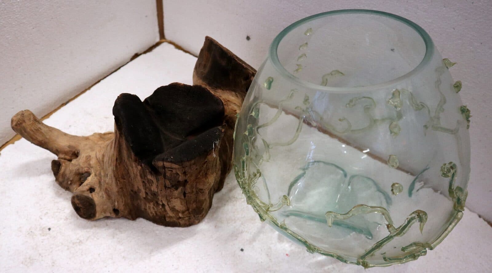 Vaso Indonesiano radice di legno e vetro soffiato 35x25x3h porta fiori acquario decorato - 8