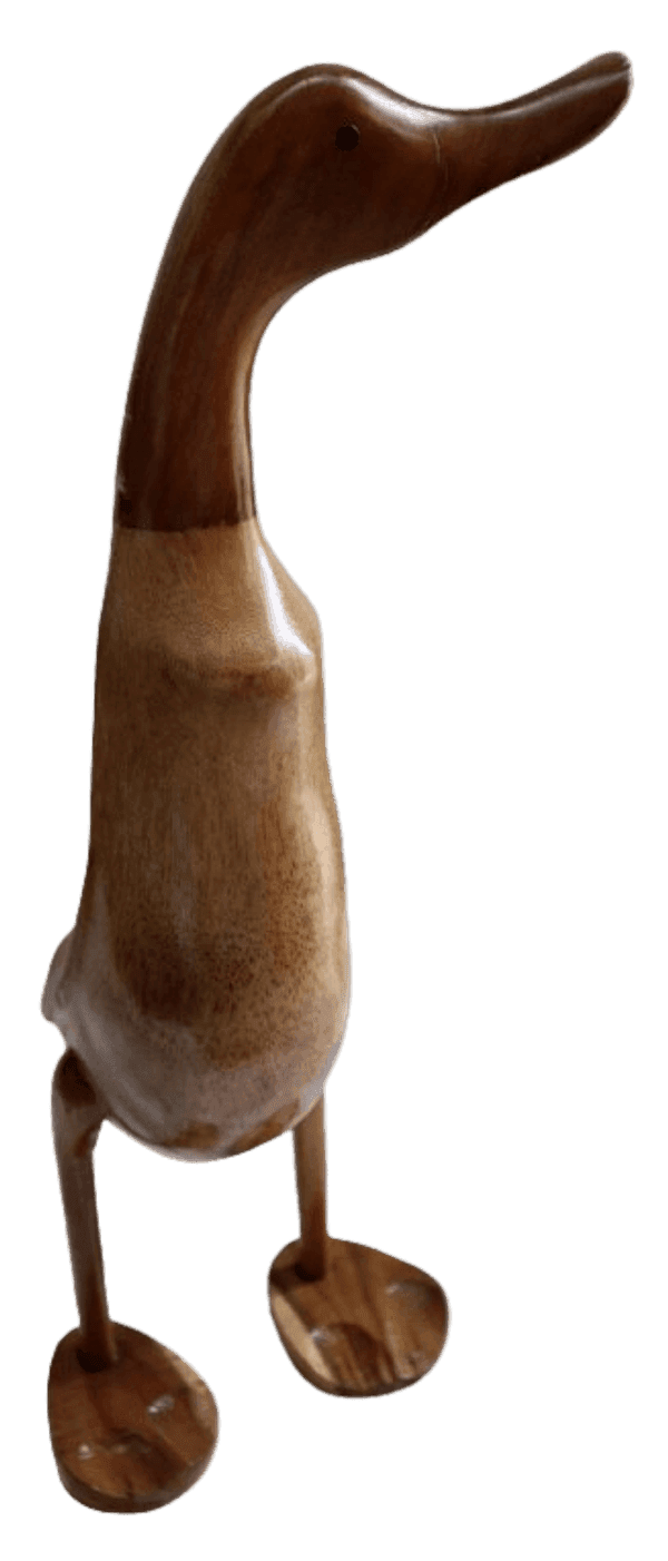 Papera Oca in Legno di Teak e Cocco Fatta a Mano - Arte Indonesiana - 5