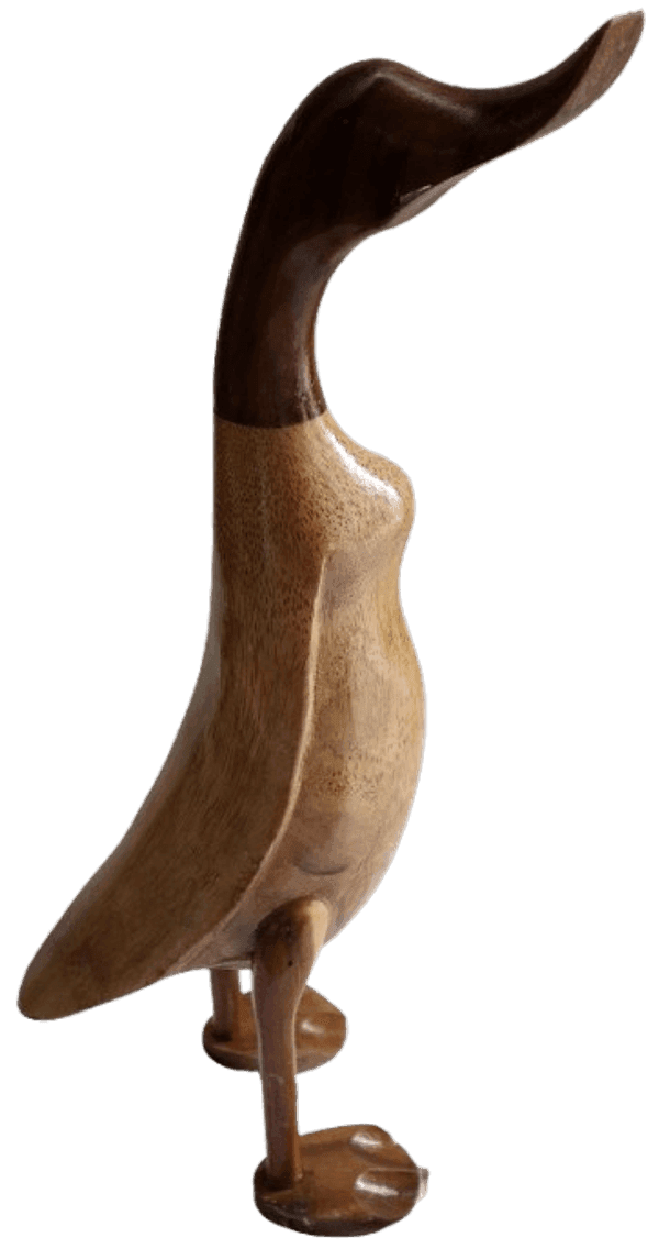 Papera Oca in Legno di Teak e Cocco Fatta a Mano - Arte Indonesiana cm 45 - 4