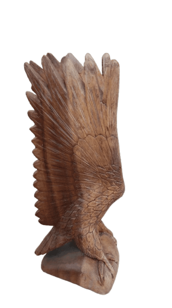Scultura Aquila in Legno di Suar 50 cm – Realizzata a Mano in Indonesia - 2