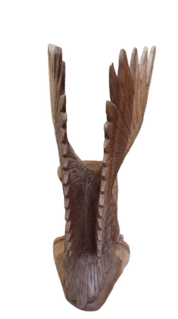 Scultura Aquila in Legno di Suar 50 cm – Realizzata a Mano in Indonesia - 3